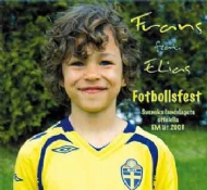 Sportboken - Fotbollsfest Svenska landslagets officiella EM lt 2008