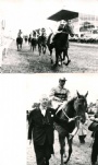 Hästsport-Galopp Gold med Ryan Parnell foto